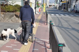 車椅子歩道.JPG